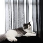 71tAeurWWIL._AC_SL1200_.jpg