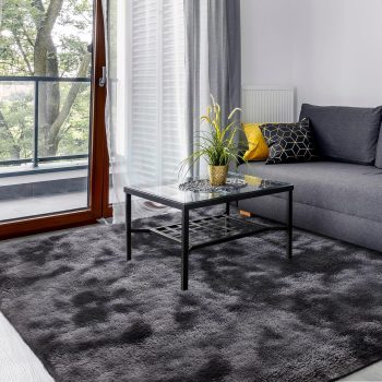 Washable Non-Slip Shag Rug 3x5
